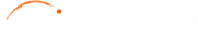 official lignum logo
